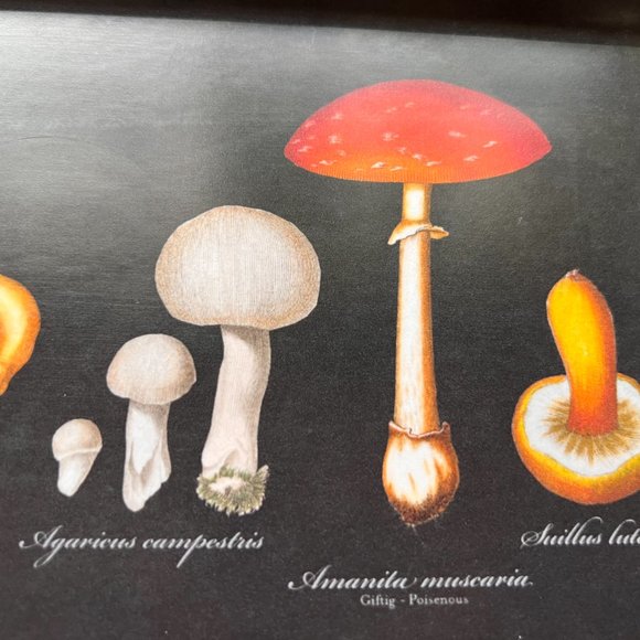 Cottagecore Mushroom Tray - Picture 4 of 8